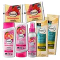 Balea 7er Set: Shampoo 300 ml, Spülung 300 ml, Sprühpflege 150 ml für Geschädigtes Strapaziertes Haar, Haarkur 2 x 25 ml für stumpfes Haar, Haarkur 2 x 20 ml für trockenes Haar