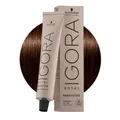 Schwarzkopf Igora Royal Absolutes 4-60 Mittelbraune Naturschokolade 60ml