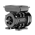 Wiltec Elektromotor 1-phasig, Elektro Motor 4-polig 1,5 kW, Einphasen Wechselstrommotor 1450 U/min, Induktionsmotor Aluminium, kompakter Motor