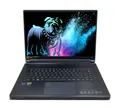 Acer Predator Triton 17X 17" QHD+ 250Hz FALD i9-13900HX 32GB 2TB RTX 4090 G-Sync