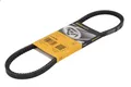 Keilriemen CONTITECH 11.5X755 VW VENTO (1H2) 2 1991-1998
