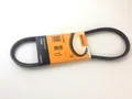 Continental Contitech Keilriemen 11,5X755 V-belt Conti  VW Golf Ibiza Passat