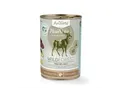 AniForte Nassfutter WildForest Wild mit Zucchini 6x400 g