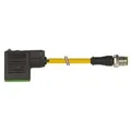 Murrelektronik M12-Stecker gerade 7000-40961-0260060