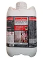 CleanPrince 5 Liter Farbvertiefer Steinveredelung Terrassen Balkone | Farbvertiefung Farbauffrischer Steinimprägnierung Marmor Granit