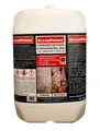 CleanPrince Farbvertiefende Steinveredelung für Terrassen und Balkone Naturstein-Imprägnierung