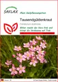 SAFLAX Blumensamen SAFLAX - Samen - Tausendgüldenkraut
