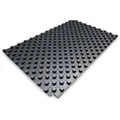 Roth Noppenplatte 14-17 Mm Eps Des 30-2 1450x950x50 Mm 1,26 M2 (vpe=10m2) 1115007913