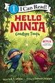 N.D. Wilson - Hello Ninja. Goodbye Tooth! - Paperback - G245z
