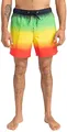 Billabong All Days Fade - Schwimmshorts für Männer Schwarz