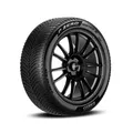 Winterreifen Pirelli 255/35 R19 96V P ZERO WINTER 2 XL M+S