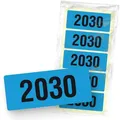 itenga Jahreszahlen 33108935, Aufkleber, 60 x 25 mm, 50 Etiketten, Jahr 2030