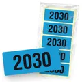 itenga 50x Jahresetiketten 2030 BLAU rechteckig 6 x 2,5 cm aus Haftpapier