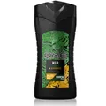 Axe Wild (Green Mojito & Cedarwood) Showergel  250 ml
