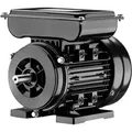 Wiltec - Elektromotor 1-phasig, Elektro Motor 4-polig 0,55 Kw, Einphasen Wechselstrommotor 1400 U/min, Induktionsmotor Aluminium, Kompakter Motor
