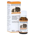 Rodicare Akut für Kaninchen, Kleinnager und Meerschweinchen Flüssigkeit 15 ml