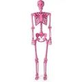 Costway Halloween Deko Skelett Rosa160 cm