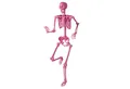 COSTWAY Dekoobjekt, Halloween Deko, 158 cm Skelett lebensgroß