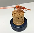 Fly Fischen " Gratis Schwimmen Nymphen " Premier Qualität UK Packung 8