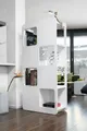 SalesFever Raumteiler, 81 x 36 x 168 cm - Holz - 399705