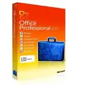 Office 2010 Professional