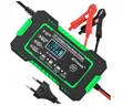 5904921481960 Tianye RJ-C 120501A 12V, 6A Batterieladegerät RJ Tianye