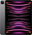 iPad Pro 12,9" 2 TB M2 Space Grau 2022