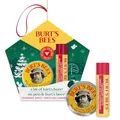 Burt’s Bees Lippenpflege Cranberry Spritz Geschenkset (Cranberry Spritz Lippenbalsam und Handbalsam im Mini-Format)
