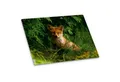 itenga Schreibtischunterlage itenga Deluxe Schreibtischunterlage FUCHS 50x40cm