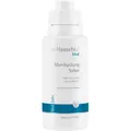Dr-Hauschka Gesichtspflege MedSalbei Mundspülung 300 ml (32,00 € / 1 l)
