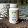 Prosta Komplex 60 Kapseln vitamoment Unterstützung b.Beschwerden m.der Prostata