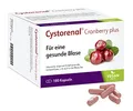 Cystorenal Cranberry plus – 900 mg Cranberry-Extrakt, Kürbiskern, Vitamin C & B2 – Für eine gesunde Blase – Vegan, laktose- & glutenfrei – 180 Kapseln
