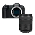 Canon EOS R8 + RF 16-28mm f/2.8 IS STM