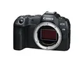 Canon EOS R8 Body schwarz