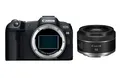 Canon Canon EOS R8 + RF 50mm 1.8 STM