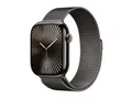 Apple Watch Series 10 (GPS + Cellular) 46mm Titan Schiefer mit Milanaise-Armband S/M Schiefer