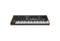 Moog Synthesizer (Synthesizer, Analog Synthesizer), Muse - Synthesizer