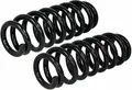 2x NK Federn Fahrwerksfedern passend für BMW 5er Touring F11 F10 F18