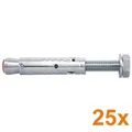 25 Stück Schwerlast Dübel Fischer 90251 Anker-Bolzen TA M10 S/20