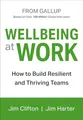 Wellbeing at Work: How to Build Resilient and Thriving Teams