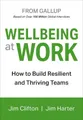 Wellbeing At Work by Clifton, Jim
