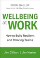 Wellbeing at Work: How to Build Resilient and T..., Jim