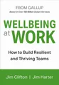Wellbeing At Work ~ Jim Clifton ~  9781595622419