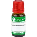 ARCANA Dr. Sewerin GmbH & Co.KG Arzneimittel-Herstellung CAUSTICUM HAHNEMANNI LM 12 Dilution 10 ml