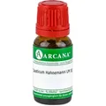 Causticum Hahnemanni Lm 12