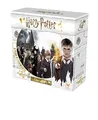 Topi Games - Harry Potter A Year at Hogwarts - Board Game