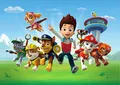 AG Design Paw Patrol eilen zur Hilfe, Vlies Fototapete für EIN Kinderzimmer, 255 x 180 cm, FTDs 1957, Mehrfarbig