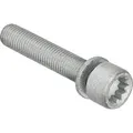 FEBI BILSTEIN Schraube, Bremssattel 48817 Hinterachse für VW