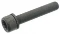 Bremssattelschraube Hinterachse Innenvielzahn 48817 FEBI BILSTEIN für VW SEAT