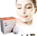 Elektrisches Gesichtsmassagegerät Gesichtspflege mit EMS und Mikrostrom für feuchte Gesichtsmasken
